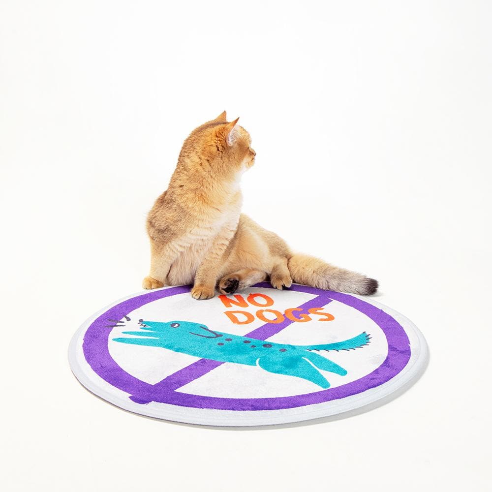 PIDAN Flano Pet Mat - Image 3
