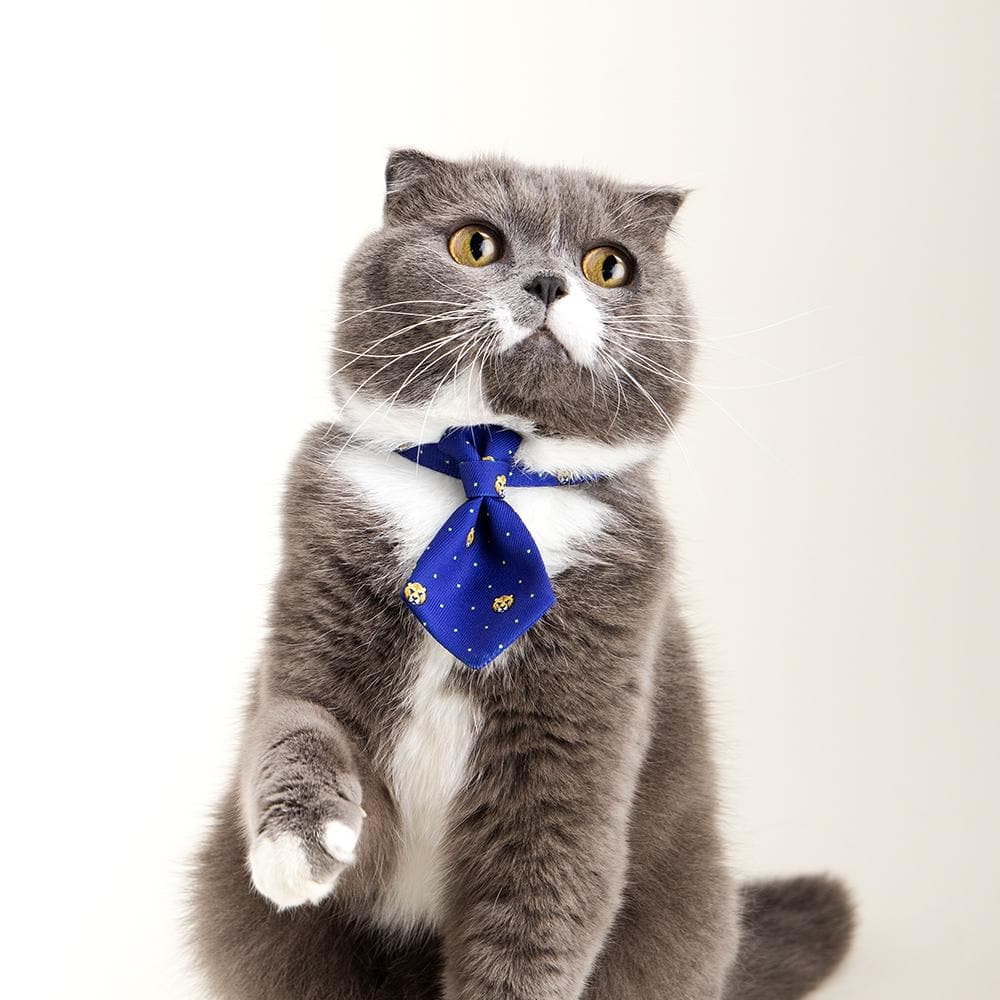 PIDAN Blue Tigers Cat Necktie - Image 2