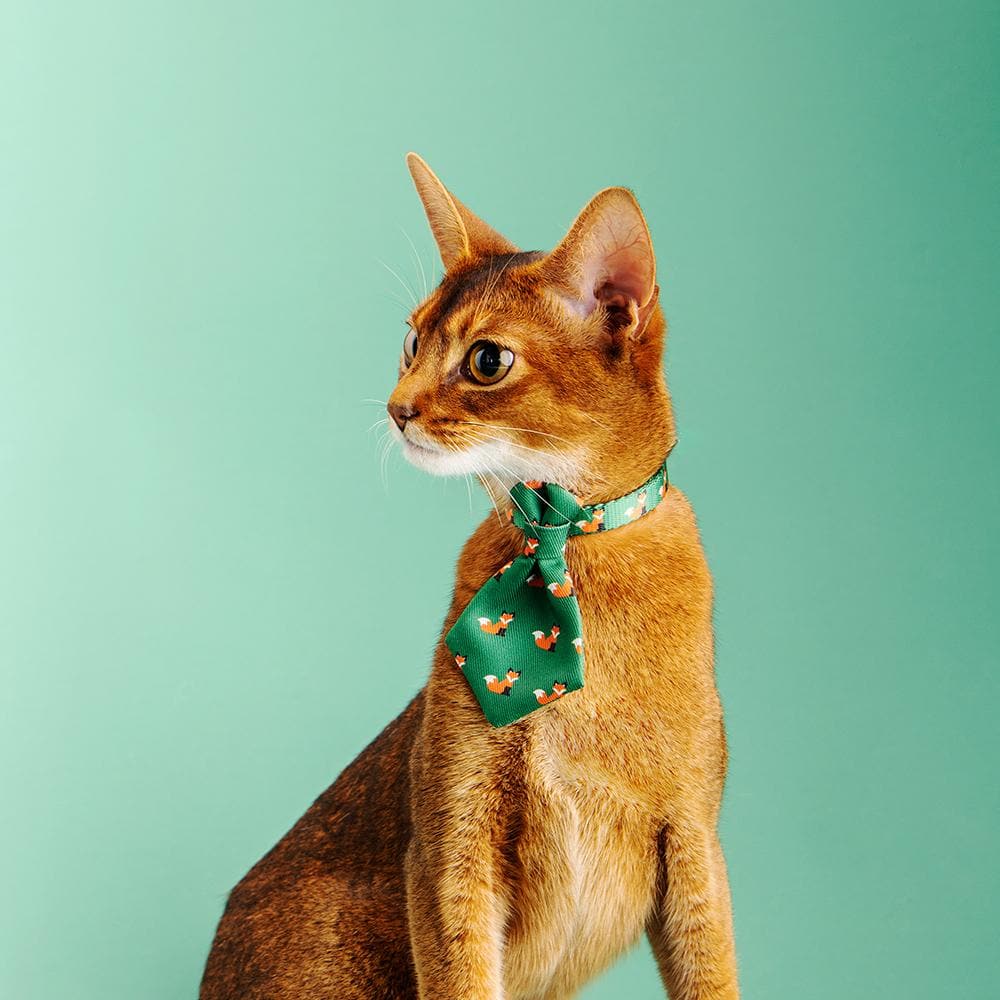 PIDAN Green Folks Necktie Cat Apparel - Image 2