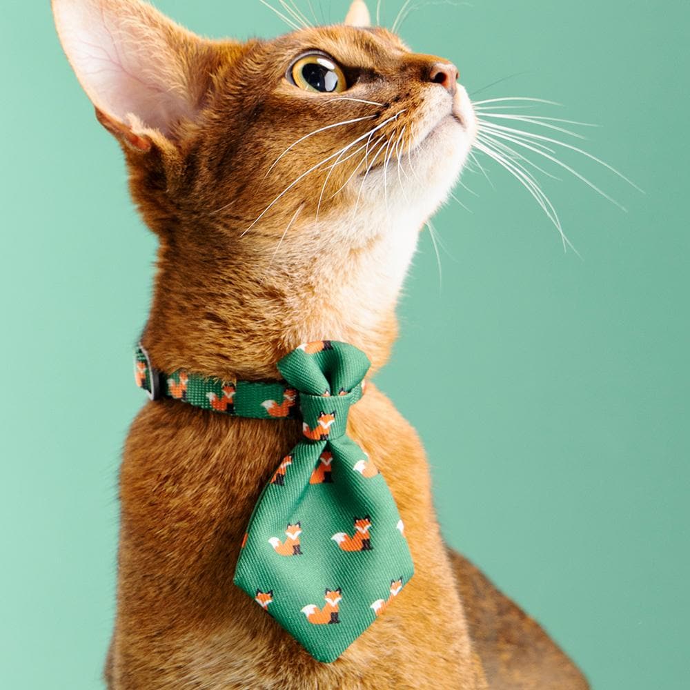 PIDAN Green Folks Necktie Cat Apparel - Image 3