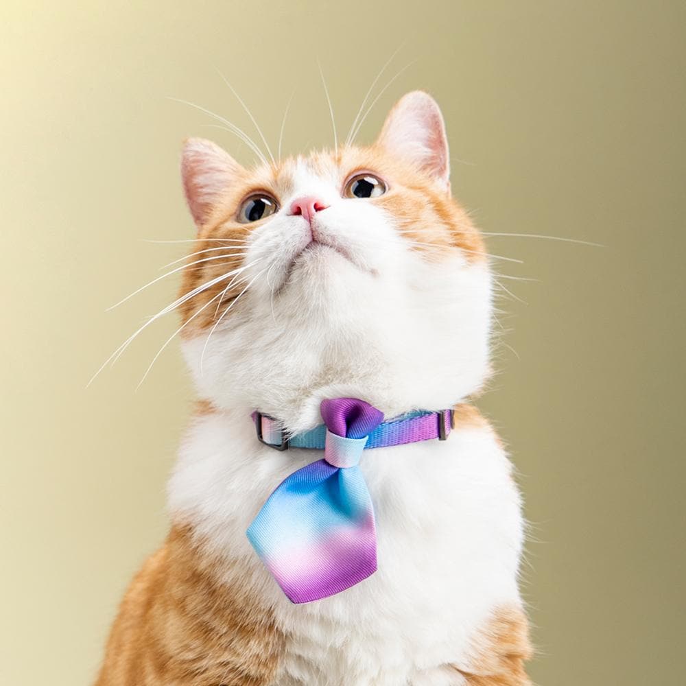 PIDAN Purple Wave Cat Necktie - Image 2