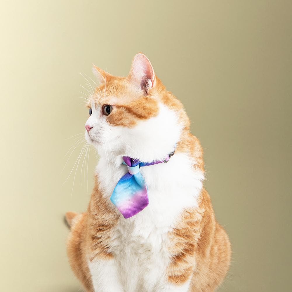 PIDAN Purple Wave Cat Necktie - Image 3