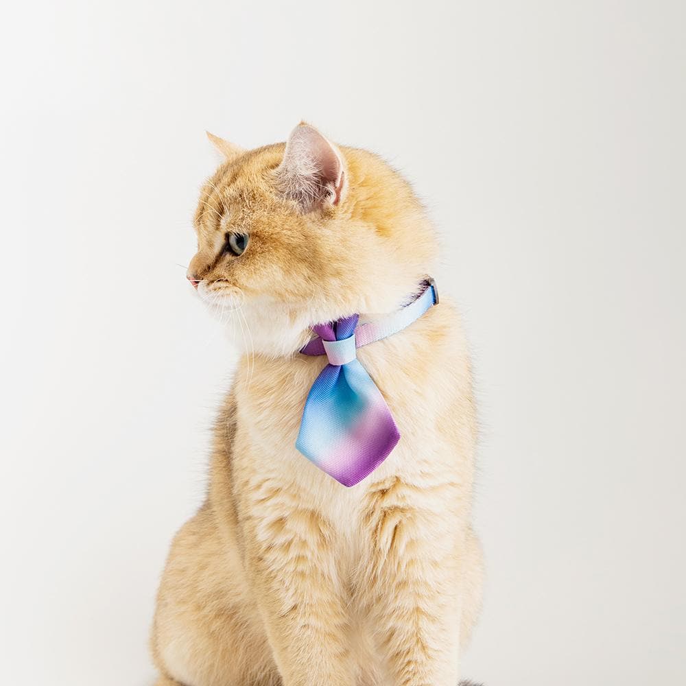 PIDAN Purple Wave Cat Necktie - Image 4