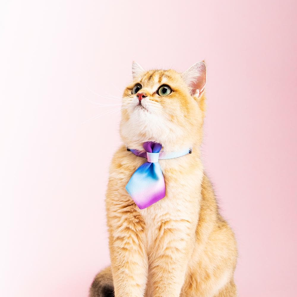 PIDAN Purple Wave Cat Necktie - Image 5