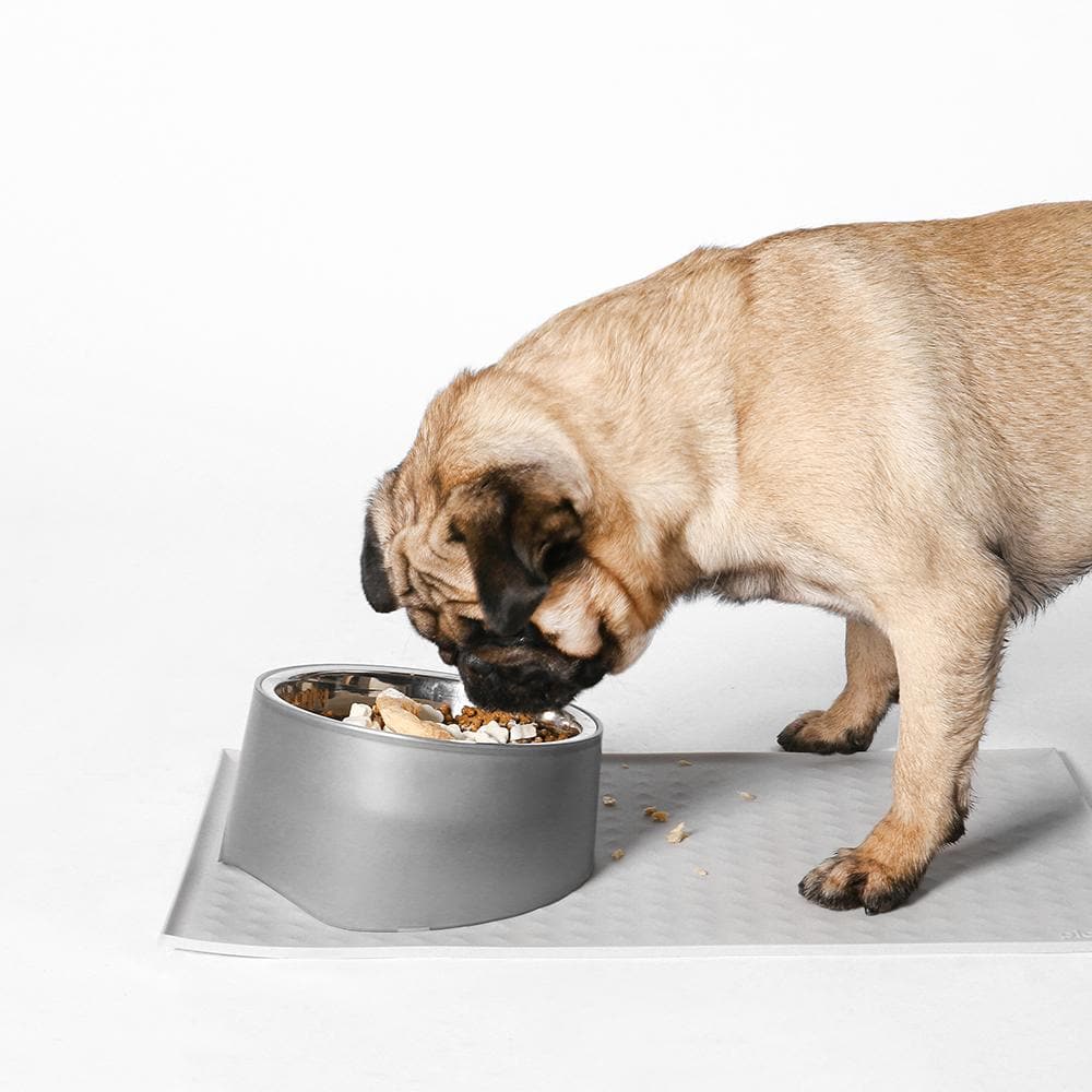 PIDAN Grey Pet Place Mat - Image 3