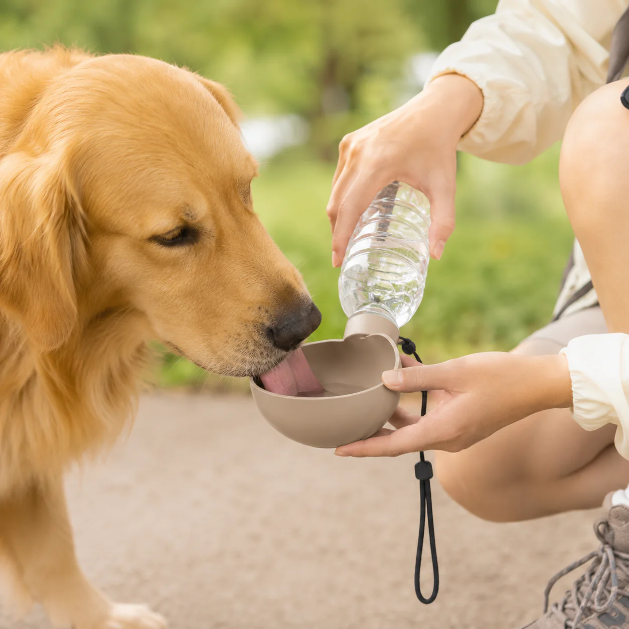 PIDAN Pet Water Feeder - Brown - Image 2