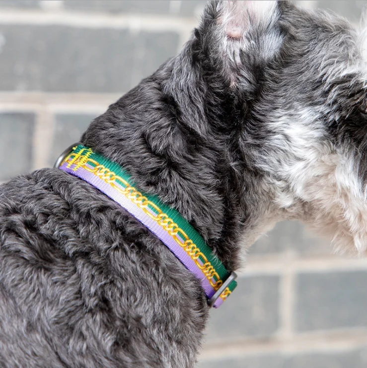 PIDAN S2 Dog Collar - Image 2