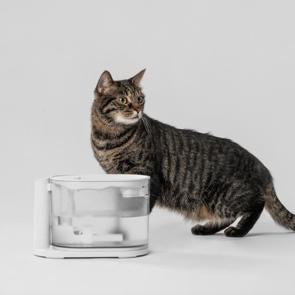 PIDAN Water Fountain with Heating Function Pet Drinking Supplies - Image 2