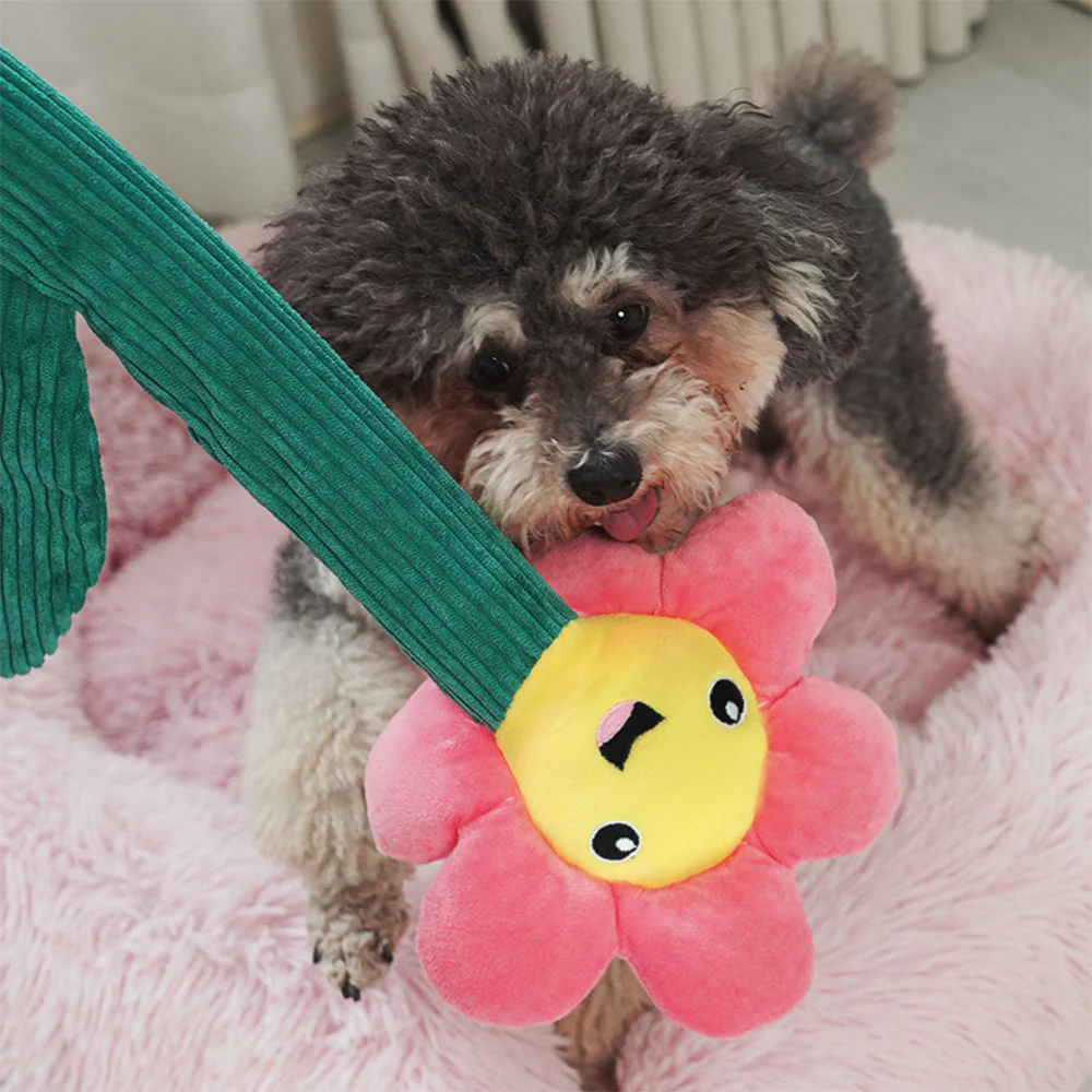 Pink Flower Dog Squeaky Teaser Toy - Image 3