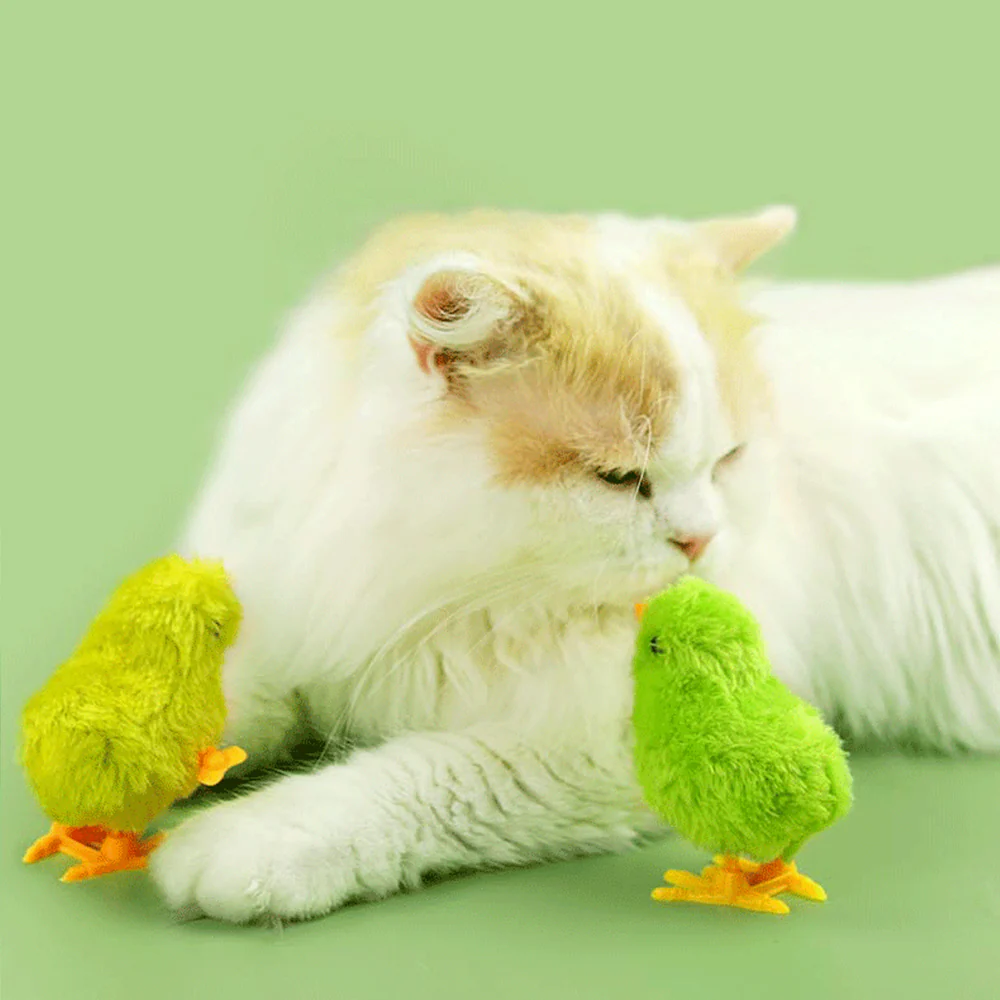 Plush Wind-up Chick Cat Toy 1pc - Random Color - Image 2