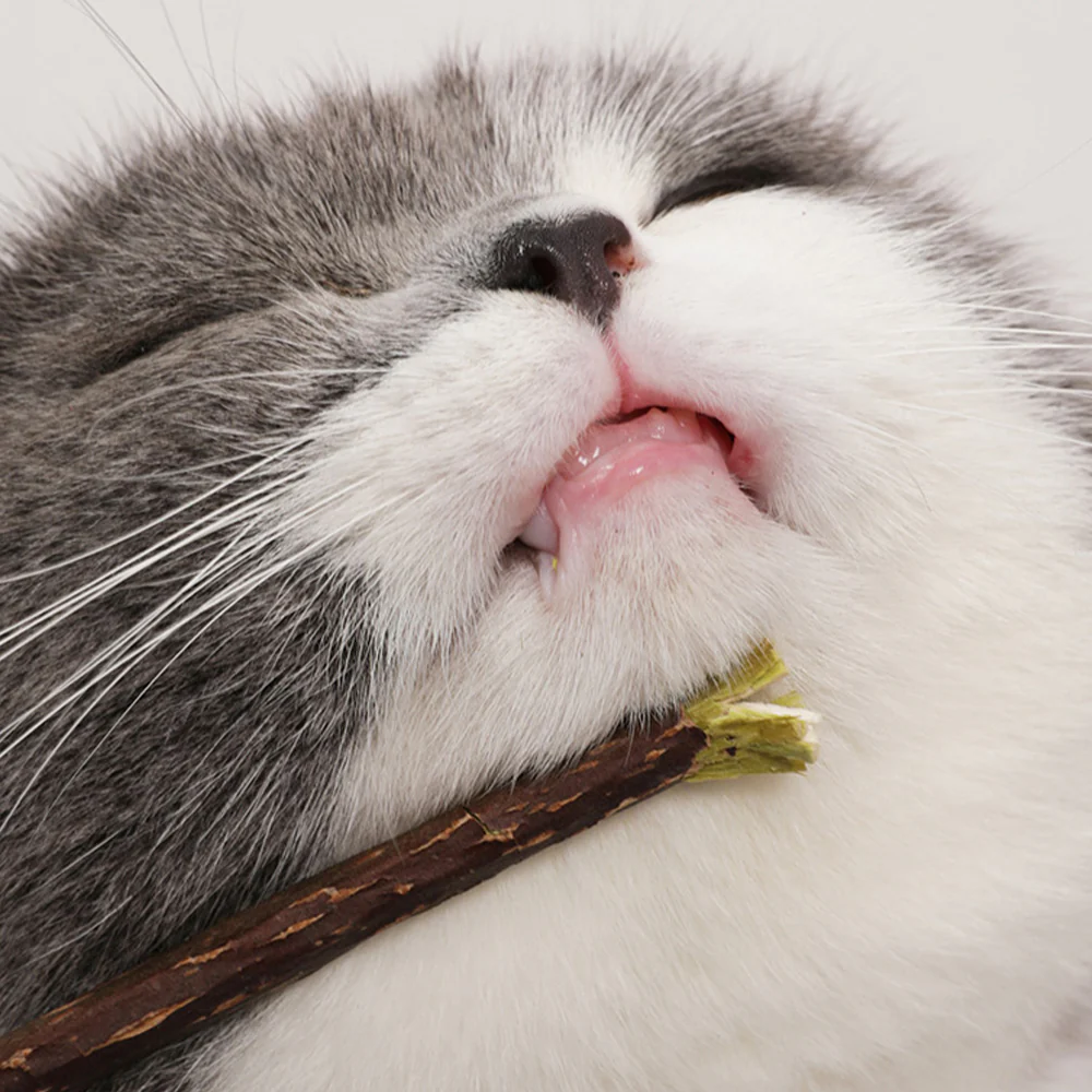 Polygonum With Built-in Bell Cat Toys - Image 5
