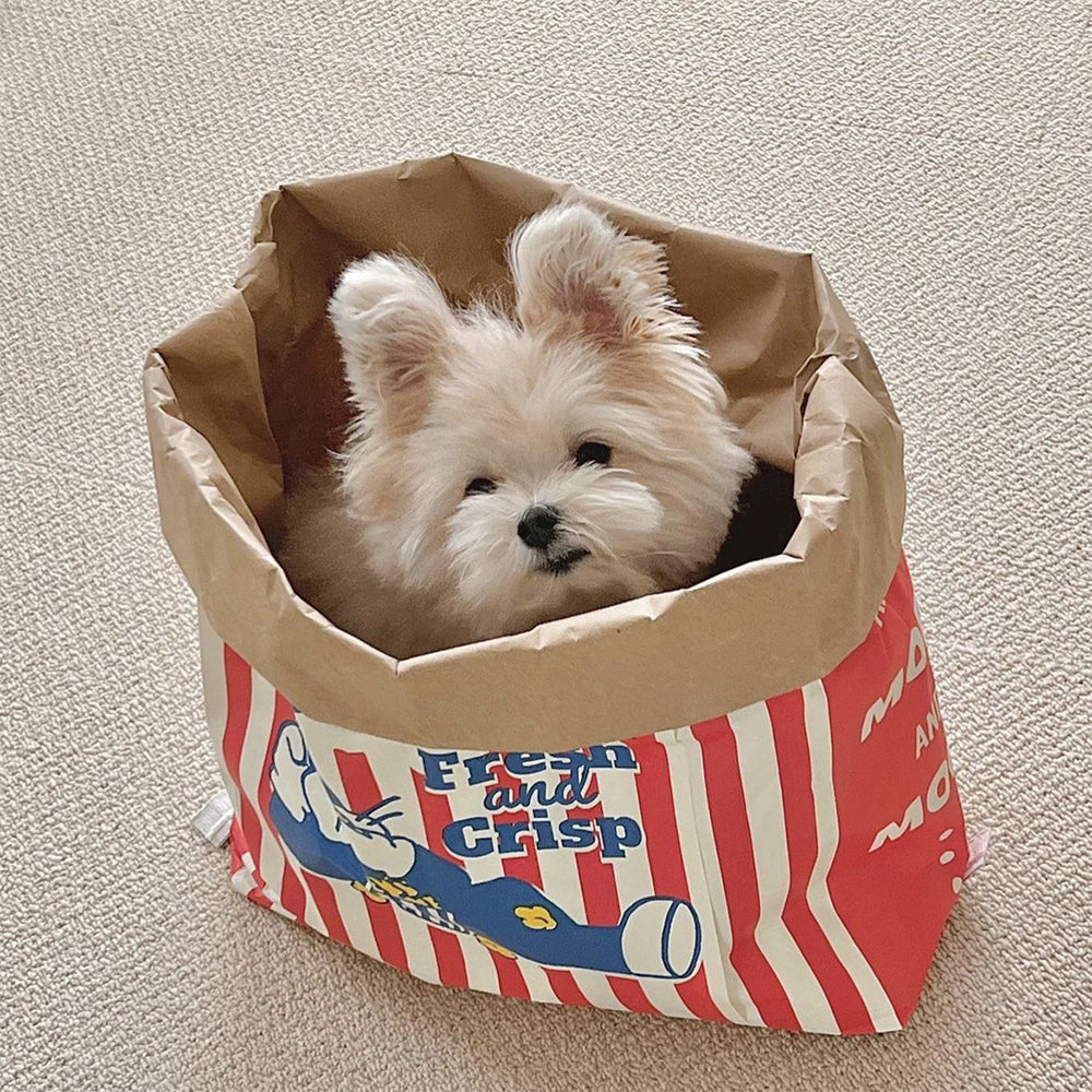 Popcorn Brown Paper Bag Pet Toy - Image 4