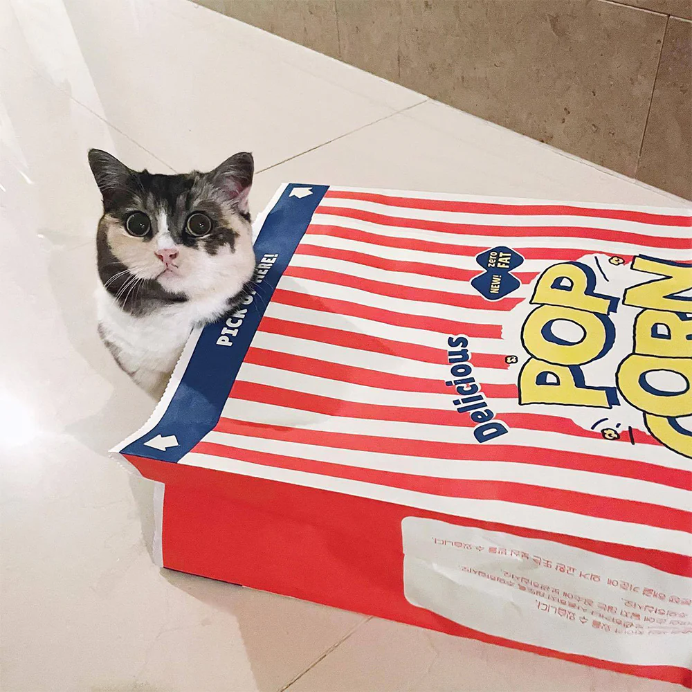 Popcorn Brown Paper Bag Pet Toy - Image 5