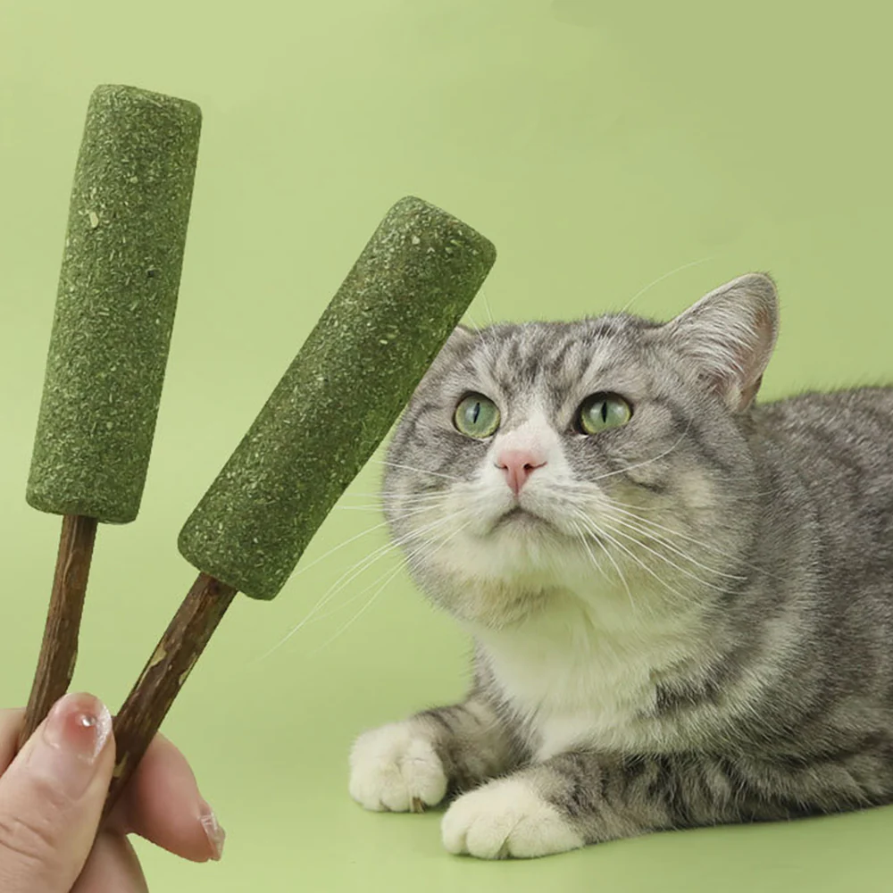 Popsicle Catnip Cat Molar Stick - Image 3