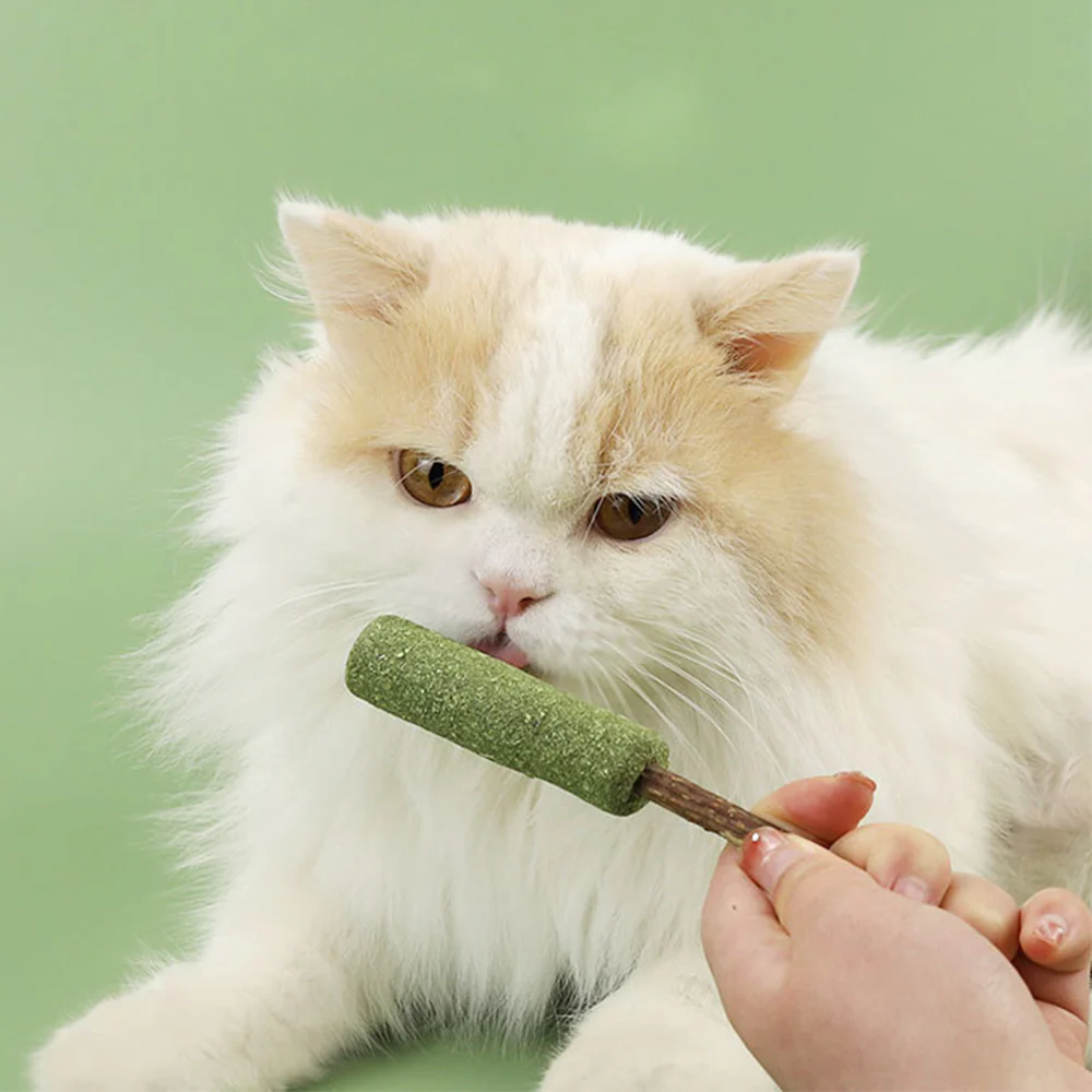 Popsicle Catnip Cat Molar Stick - Image 5