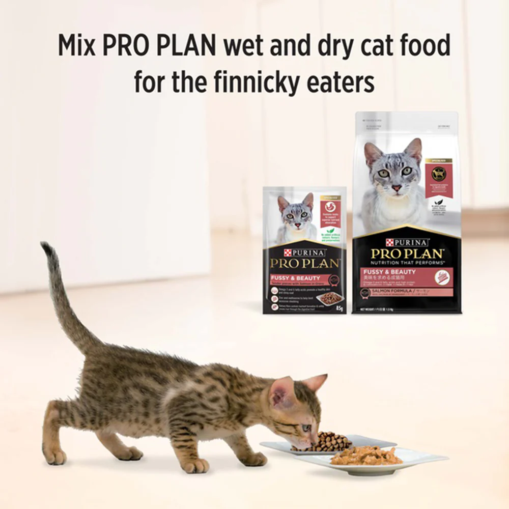 PRO PLAN Fussy & Beauty Tender Pieces With Salmon in Gravy Wet Cat Food 85g x 12 - Image 7