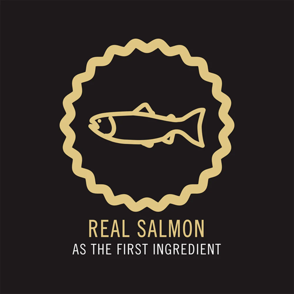 PRO PLAN Salmon Formula Adult Dry Cat Food - Image 5