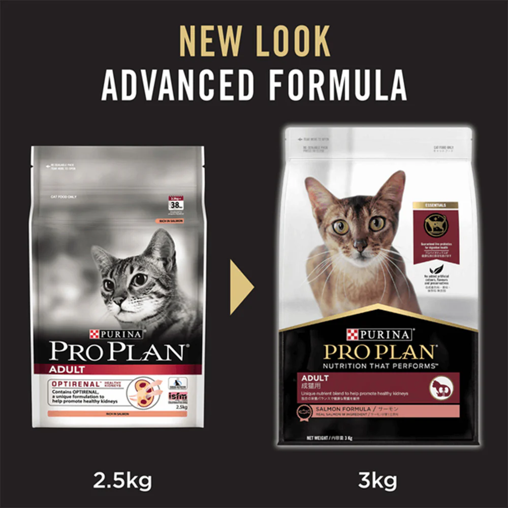 PRO PLAN Salmon Formula Adult Dry Cat Food 7kg - Image 2