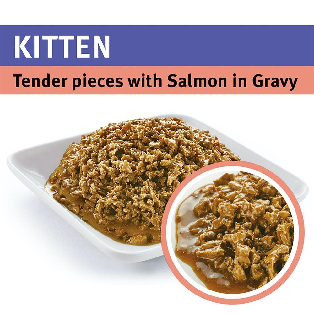 PRO PLAN Tender Pieces With Salmon In Gravy Kitten Wet Cat Food 85g x 12 - Image 5