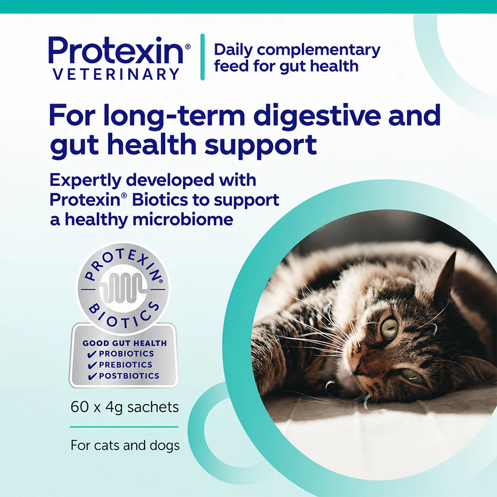 PROTEXIN Pro Kolin Enterogenic Long Term Gastrointestinal Support For Dogs & Cats 30'S - Image 7