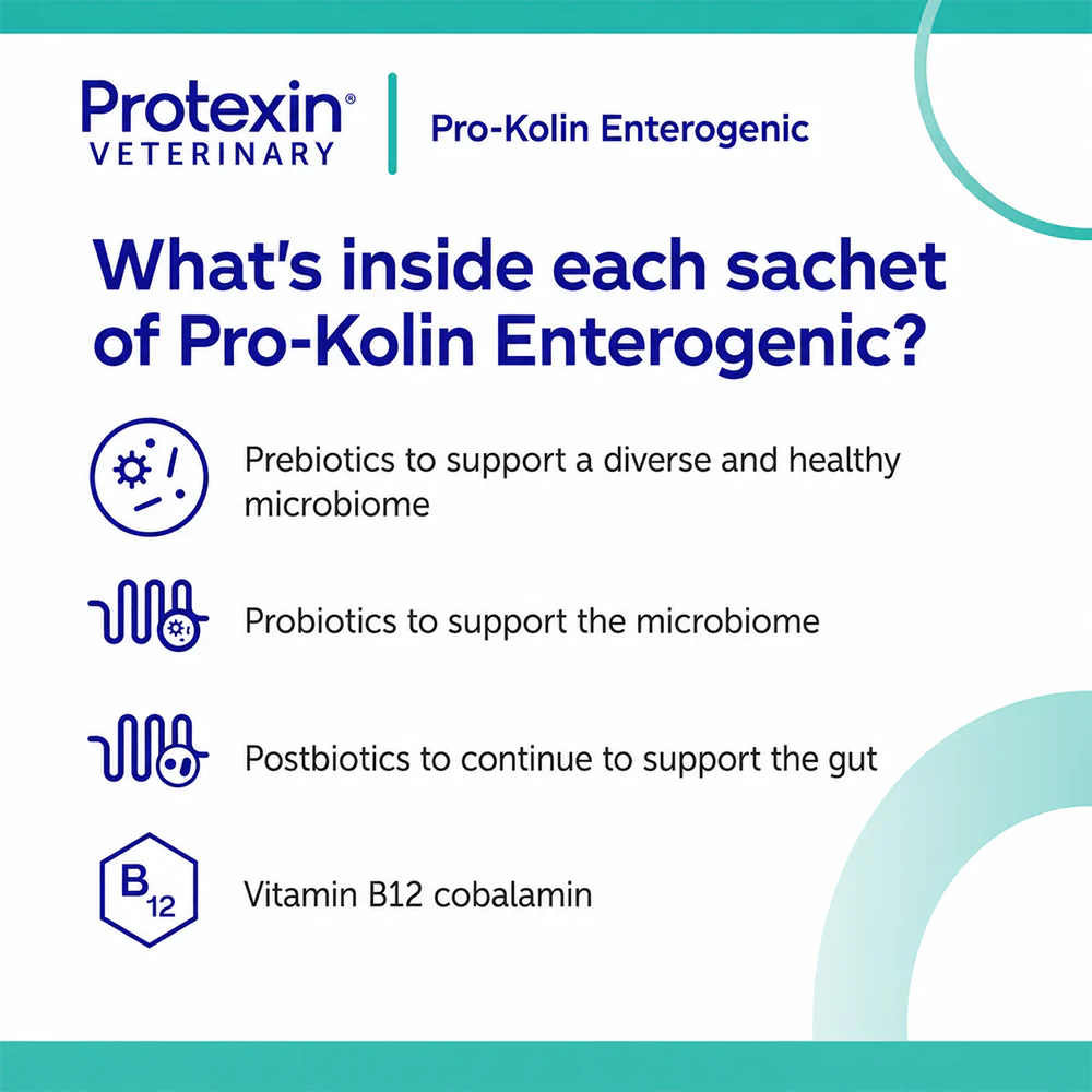 PROTEXIN Pro Kolin Enterogenic Long Term Gastrointestinal Support For Dogs & Cats 30'S - Image 8