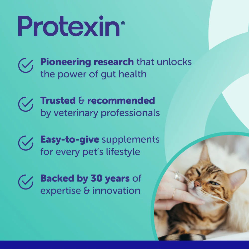 PROTEXIN Pro Kolin+ Probiotic Paste Short Term Gastrointestinal Support For Dogs & Cats - Image 7