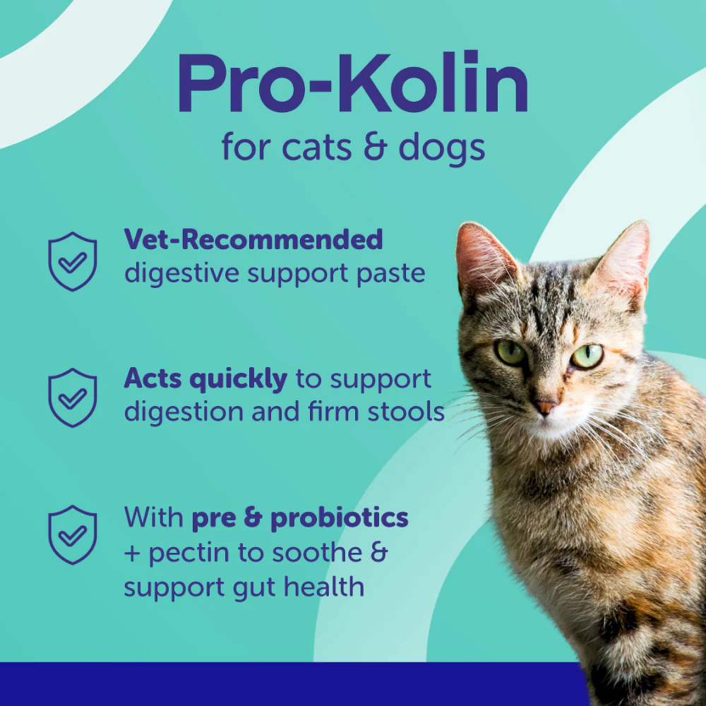 PROTEXIN Pro Kolin+ Probiotic Paste Short Term Gastrointestinal Support For Dogs & Cats - Image 9