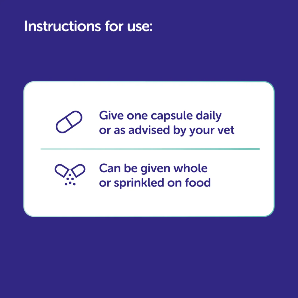 PROTEXIN Synbiotic DC Probiotic & Prebiotic For Cats & Dogs 50'S - Image 6