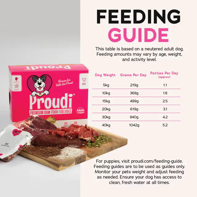 PROUDI Premium Frozen Beef Raw Dog Food 2.4Kg - Image 4