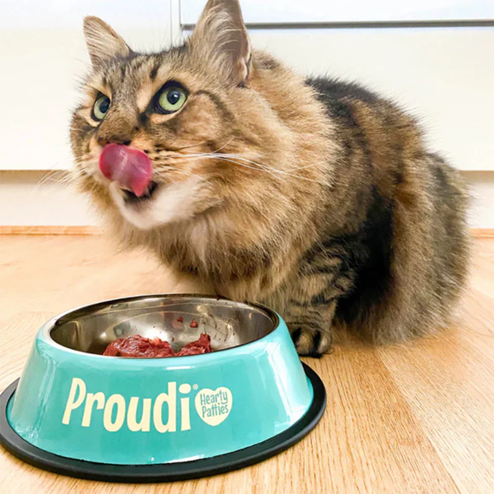 PROUDI Premium Frozen Kangaroo & Beef Raw Cat Food 1.08Kg - Image 7