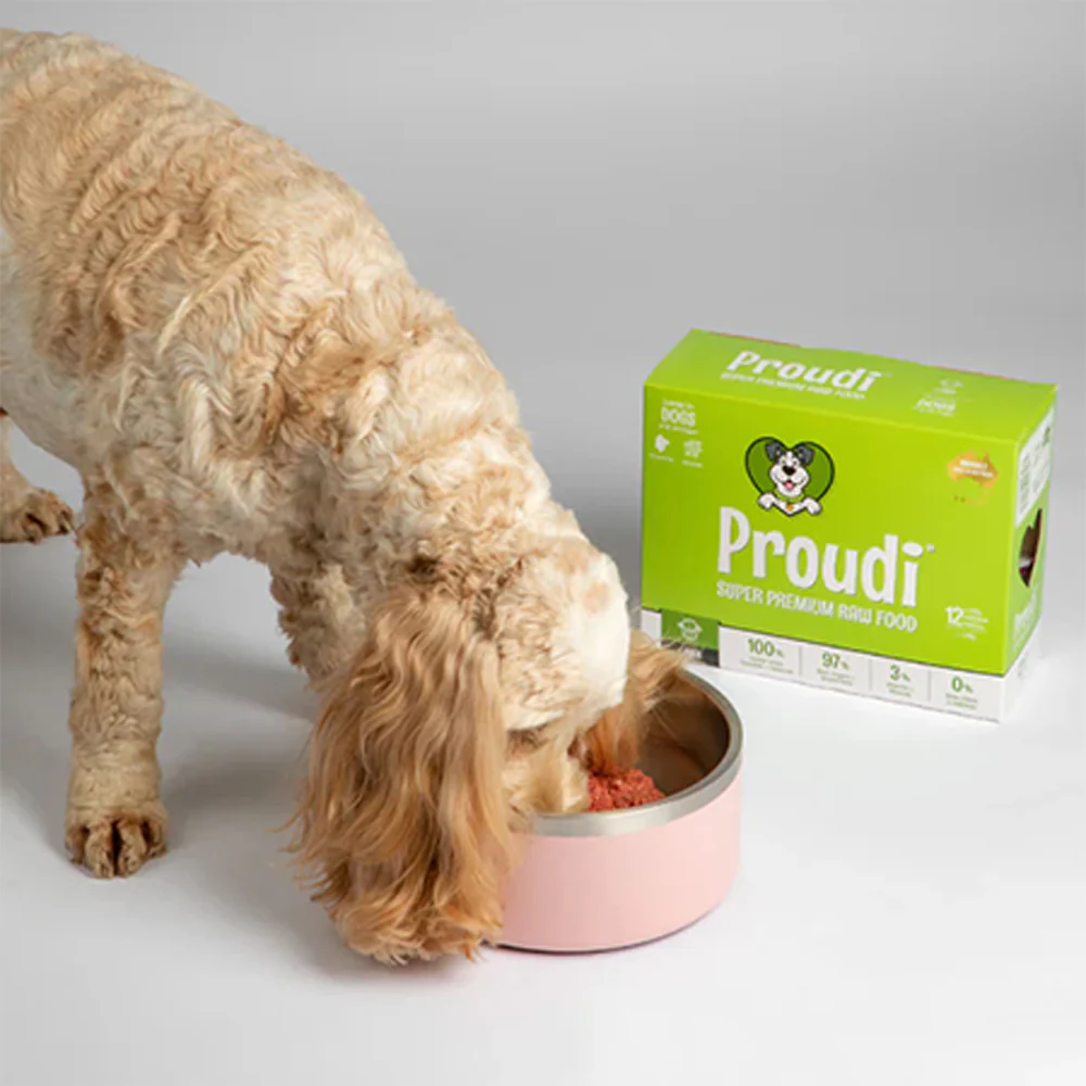 PROUDI Premium Frozen Lamb Raw Dog Food 2.4kg - Image 11