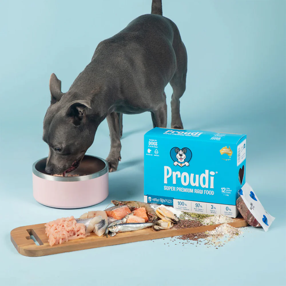PROUDI Premium Frozen Ocean Combo & Turkey Raw Dog Food 2.4kg - Image 9