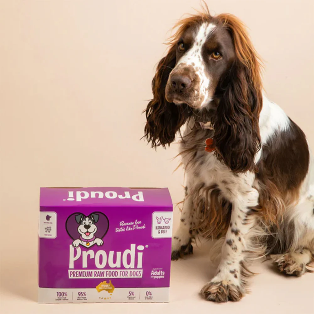 PROUDI Premium Frozen Kangaroo & Beef Raw Dog Food 2.4Kg - Image 10