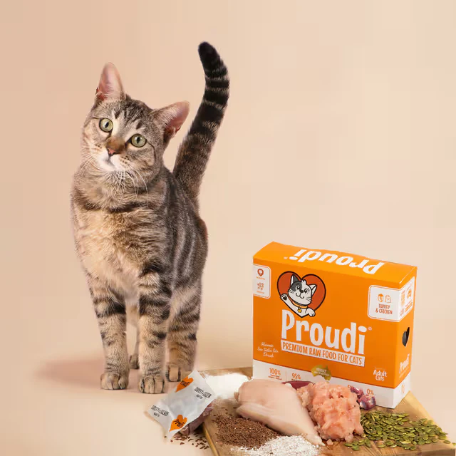 PROUDI Premium Frozen Turkey & Chicken Raw Cat Food 1.08Kg - Image 5