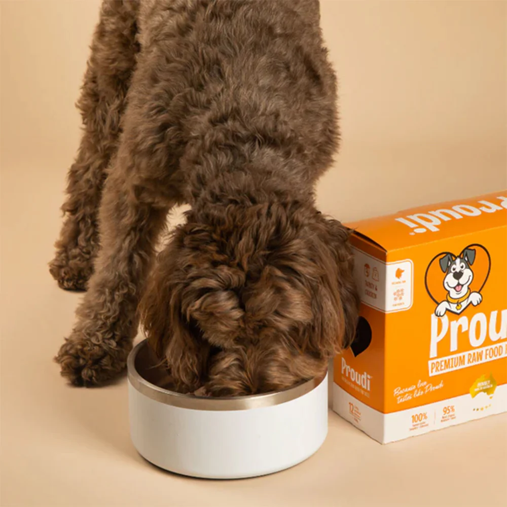 PROUDI Premium Frozen Turkey & Chicken Raw Dog Food 2.4Kg - Image 9