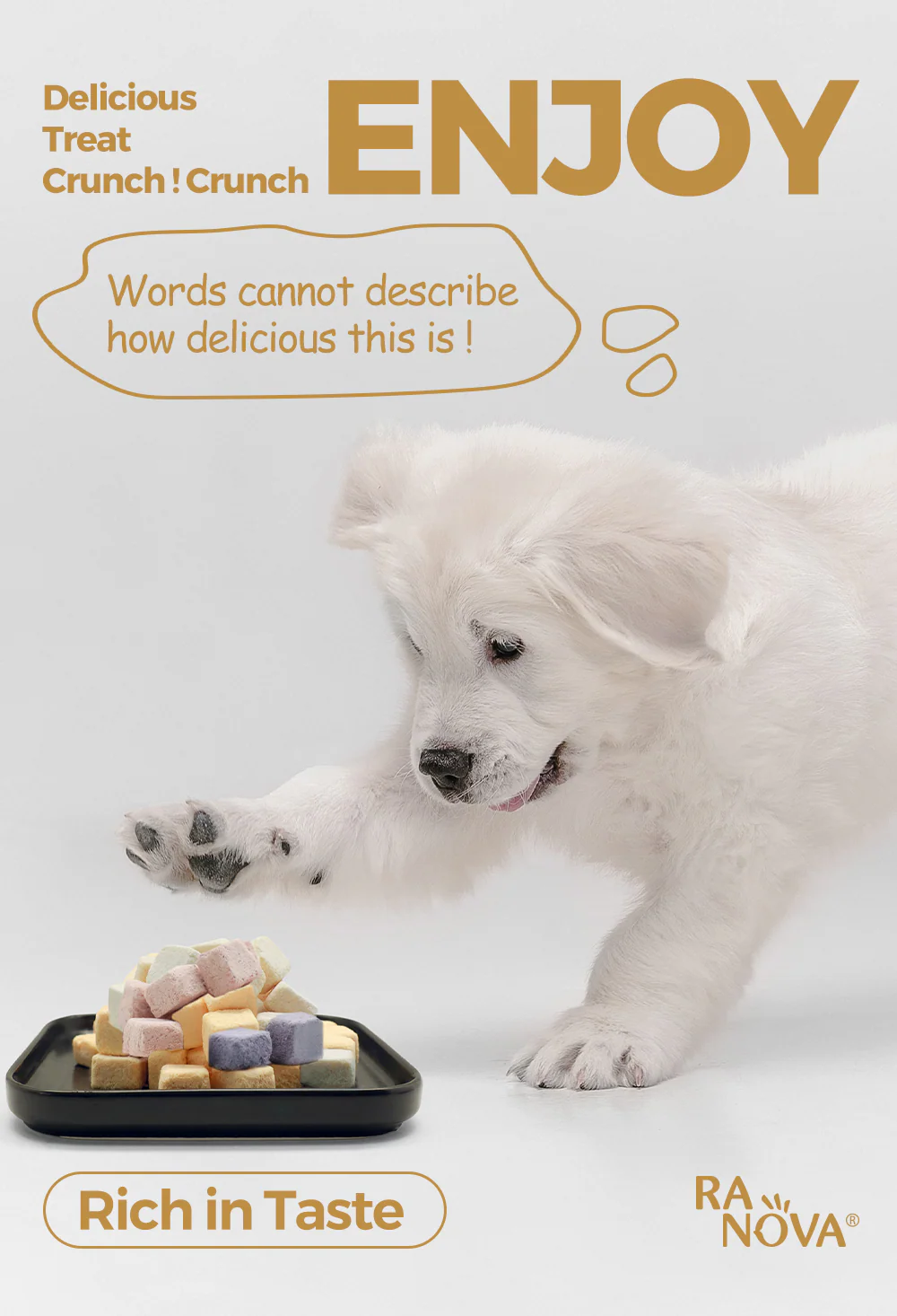 RANOVA Yogurt Cubes Mixed Flavor Freeze Dried Pet Treats 40g - Image 8