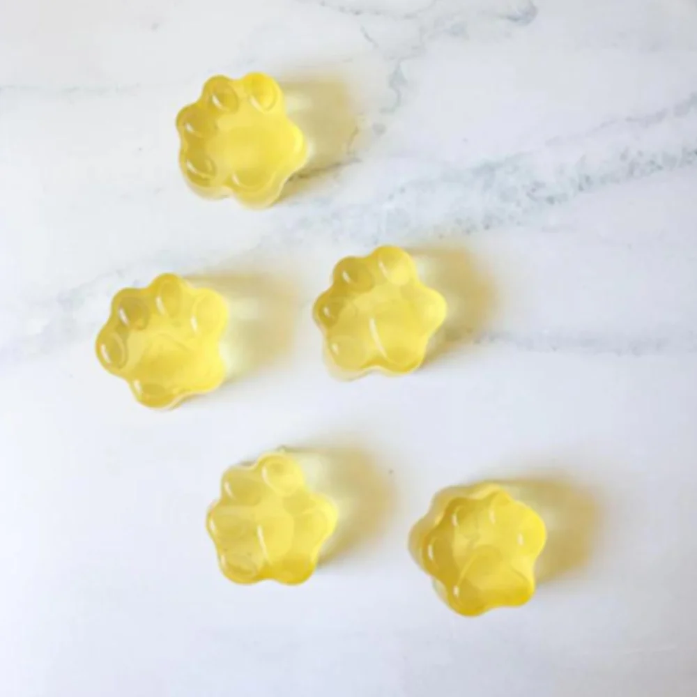 RAW PAWZ Bone Broth Diy Gummies Dog Treats 90g - Image 3