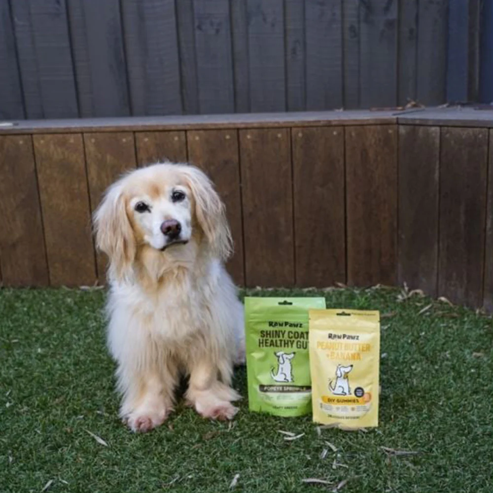 [EXP-20/09/2026] RAW PAWZ Healthy Gut Diy Gummies Dog Treats 90g - Image 4