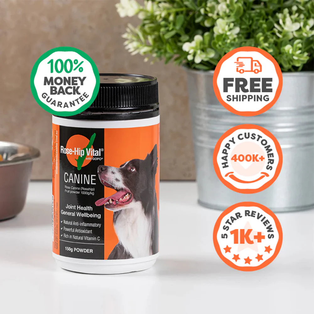 ROSEHIP Canine Vital Canine Powder For Dogs - Image 10