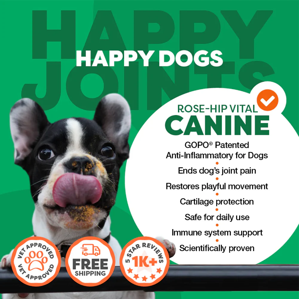 ROSEHIP Canine Vital Canine Powder For Dogs - Image 5