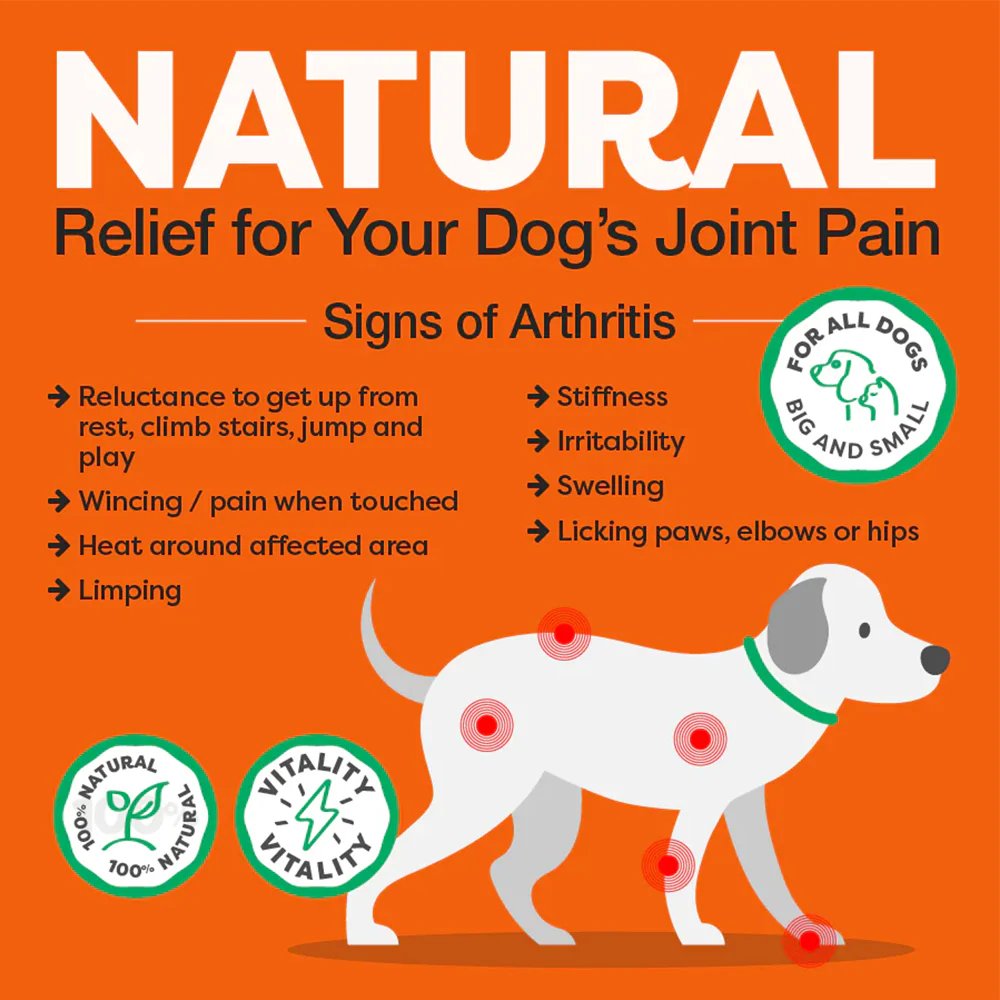 ROSEHIP Canine Vital Canine Powder For Dogs - Image 8