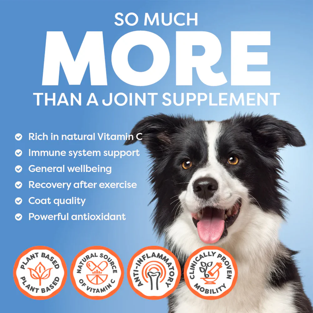 ROSEHIP Canine Vital Canine Powder For Dogs - Image 9