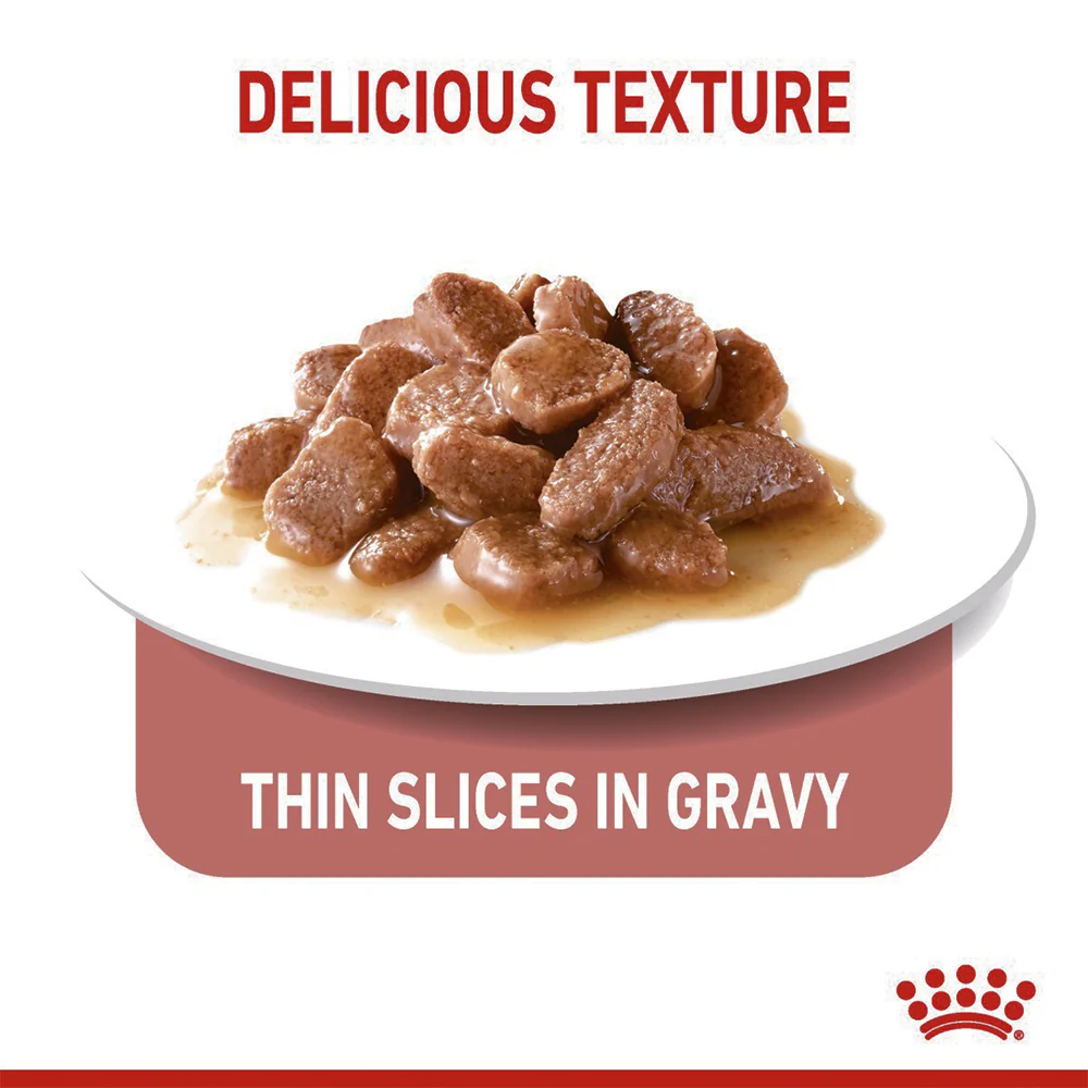 ROYAL CANIN Appetite Control Gravy Adult Wet Cat Food 85g/85gx12 - Image 4