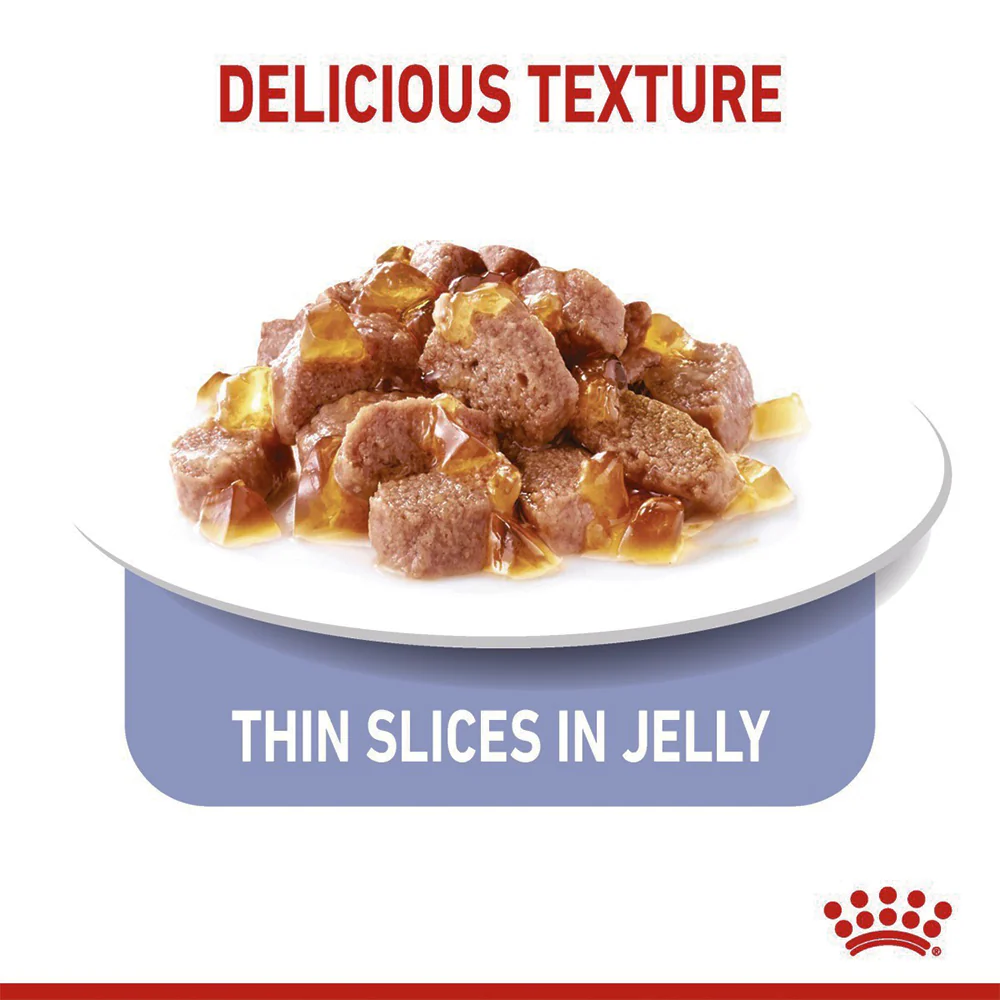 ROYAL CANIN Appetite Control Jelly Adult Wet Cat Food 85g - Image 4