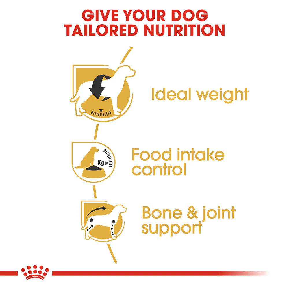 ROYAL CANIN Beagle Adult Dry Dog Food 3kg - Image 4