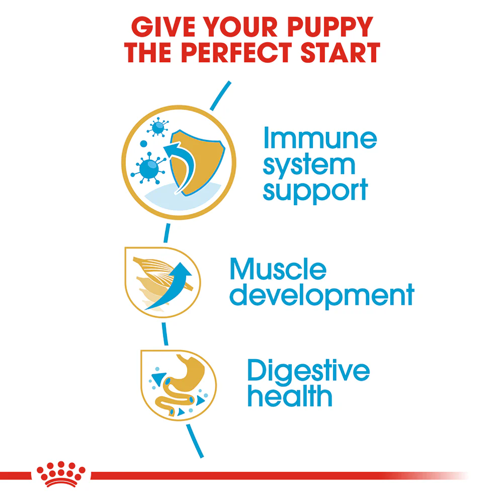ROYAL CANIN Boxer Puppy Dry Dog Food 12kg - Image 4