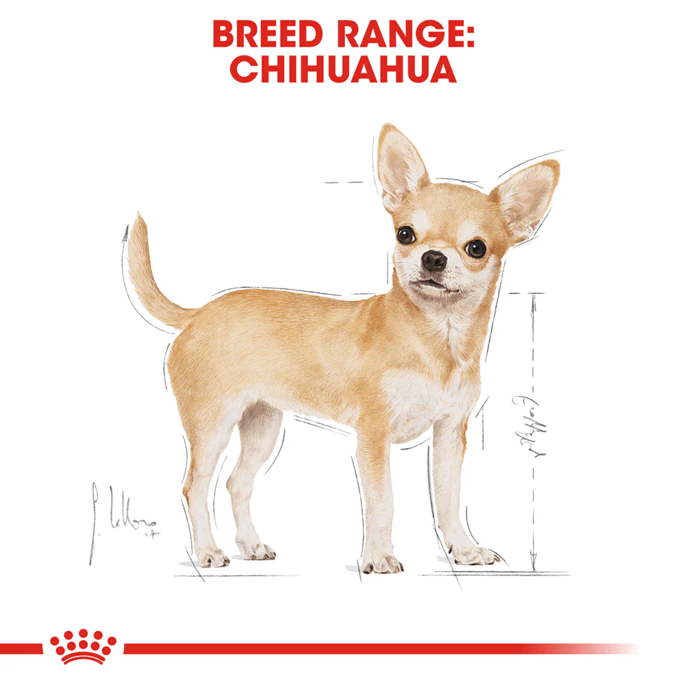ROYAL CANIN Chihuahua Adult Wet Dog Food - Image 2