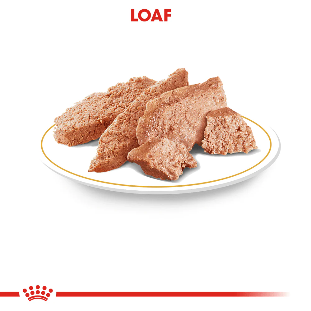 ROYAL CANIN Chihuahua Adult Wet Dog Food - Image 3