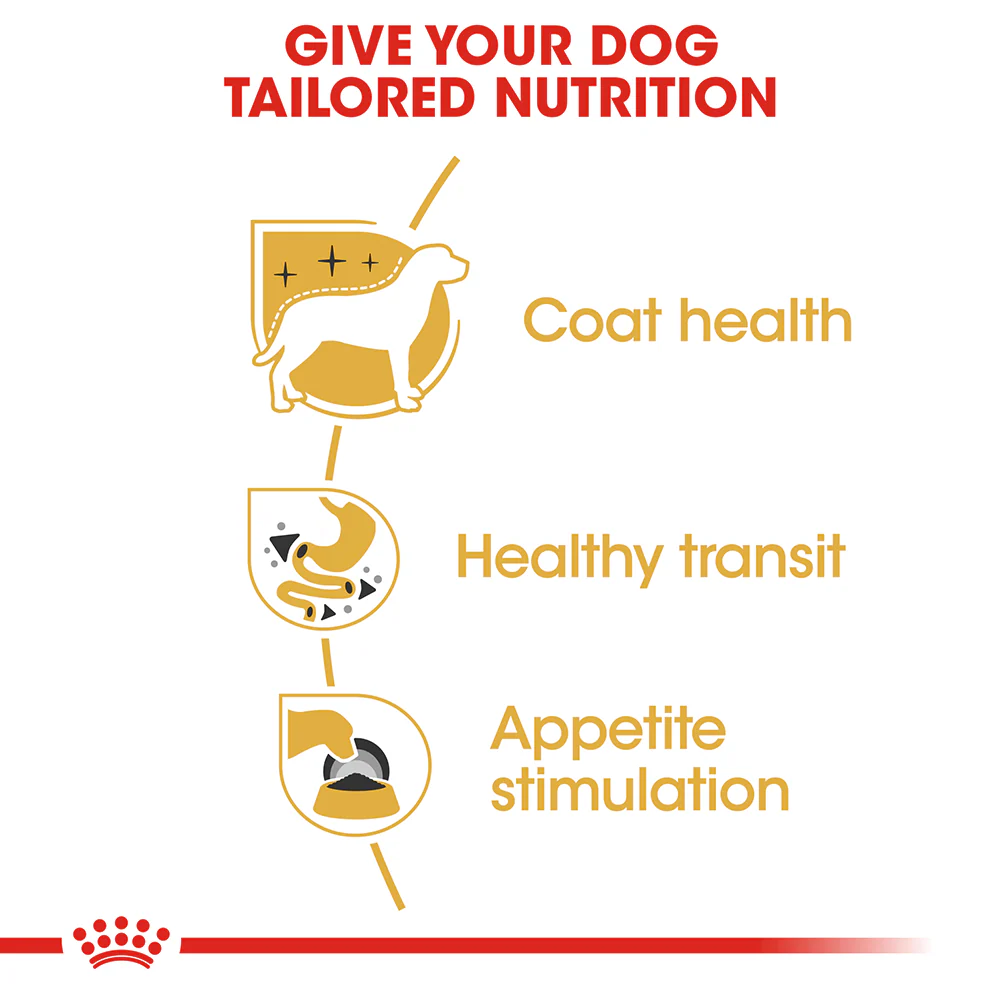 ROYAL CANIN Chihuahua Adult Wet Dog Food - Image 4