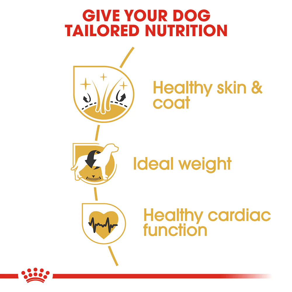 ROYAL CANIN Cocker Spaniel Adult Dry Dog Food 12kg - Image 4